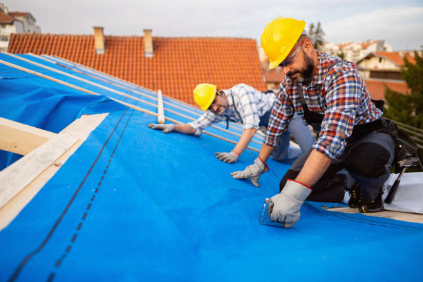 Asphalt Shingles Roofing in St Michael, MN